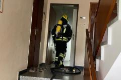 IMG-20221126-WA0003