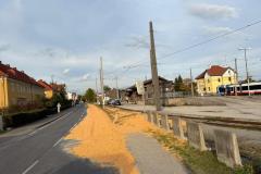 IMG-20261014-WA0013