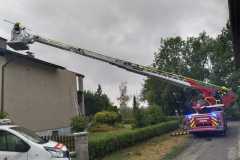 IMG-20260817-WA0041