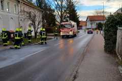 IMG-20230310-WA0003